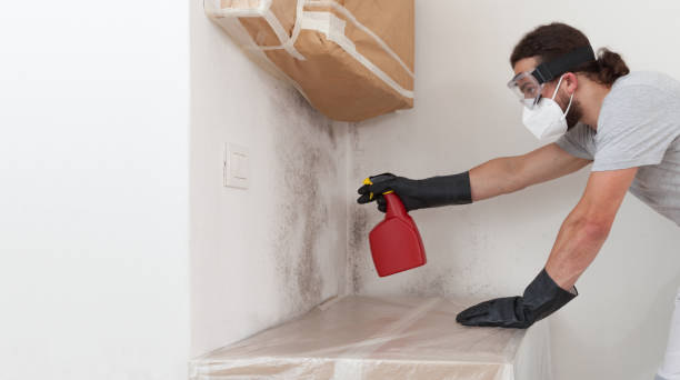 Attic Mold Remediation treatment on roof deck in Millersville